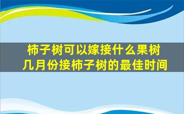 柿子树可以嫁接什么果树 几月份接柿子树的最佳时间